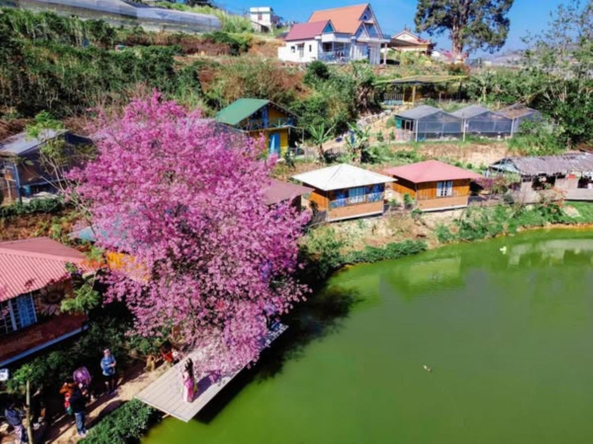 Nha Ben Ho - Da Lat Homestay Extérieur photo