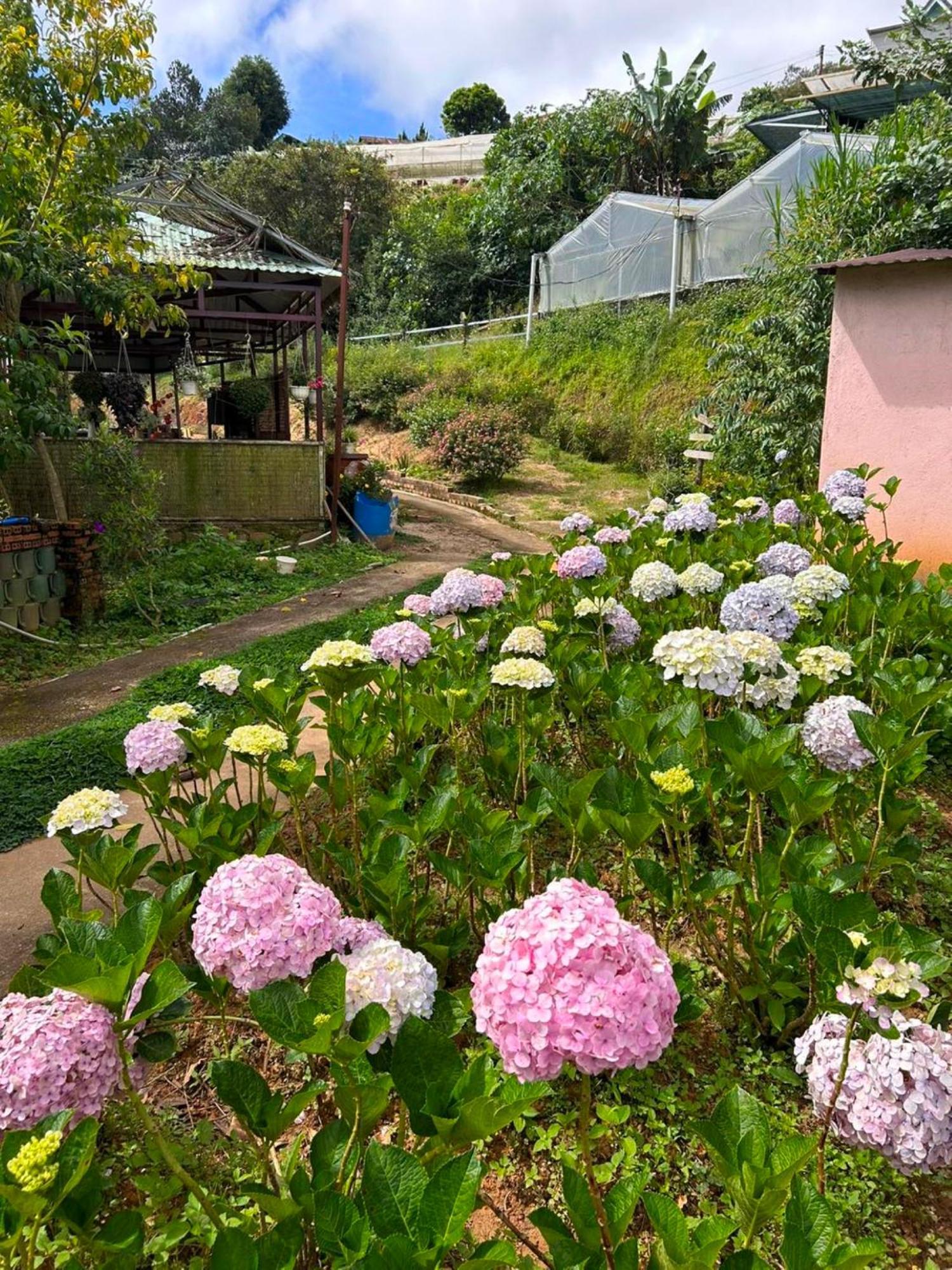 Nha Ben Ho - Da Lat Homestay Extérieur photo
