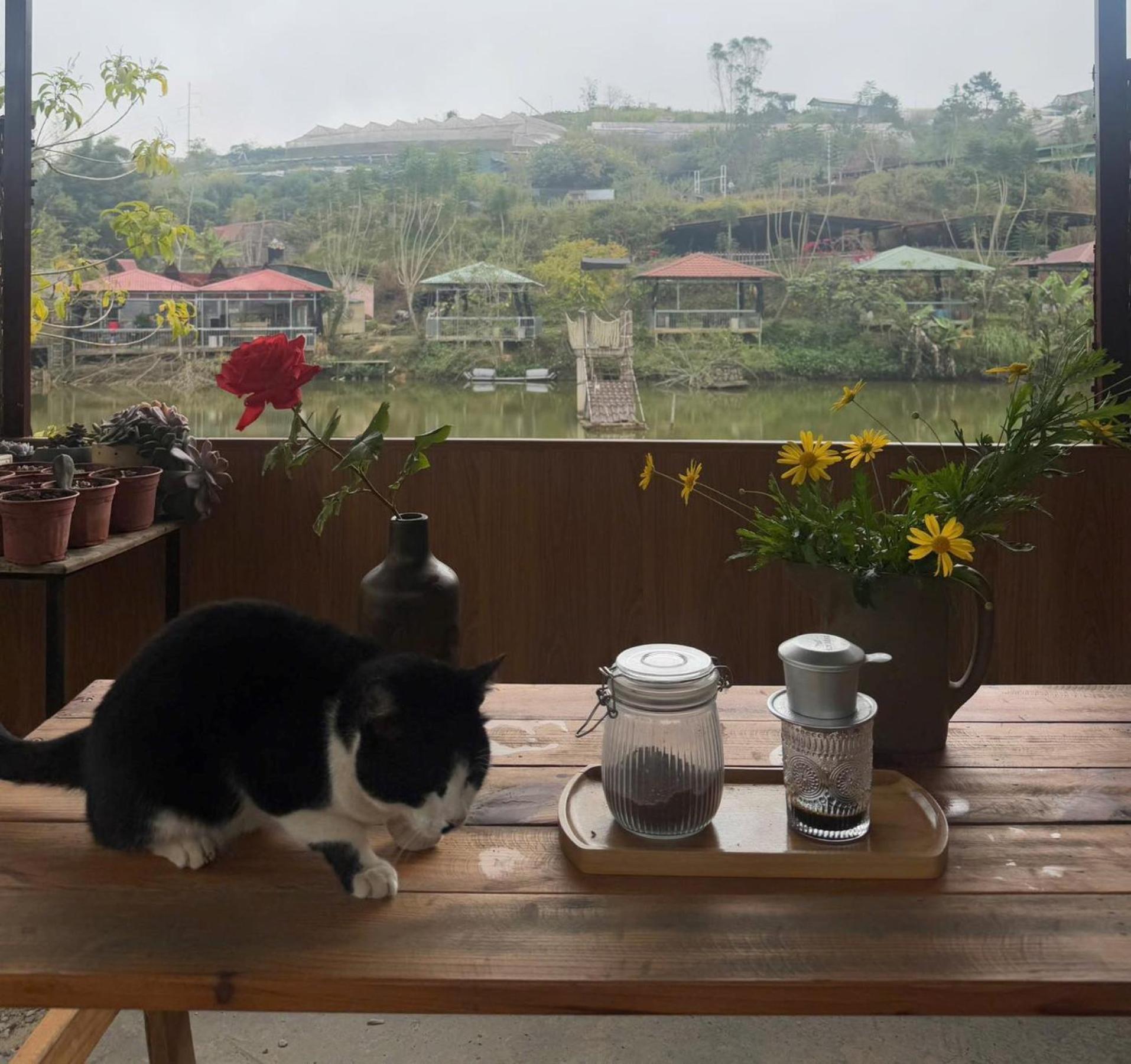 Nha Ben Ho - Da Lat Homestay Extérieur photo